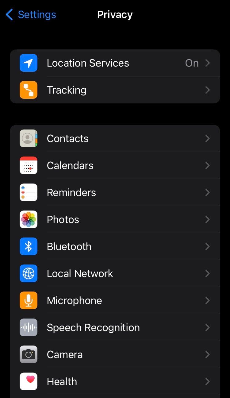 iPhone privacy section